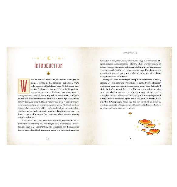 Book - Mushroom Magick: Ritual, Celebration, and Lore-hotRAGS.com