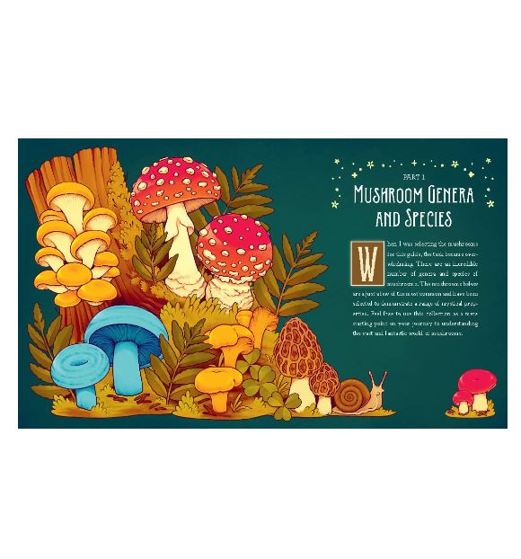 Book - Mushroom Magick: Ritual, Celebration, and Lore-hotRAGS.com