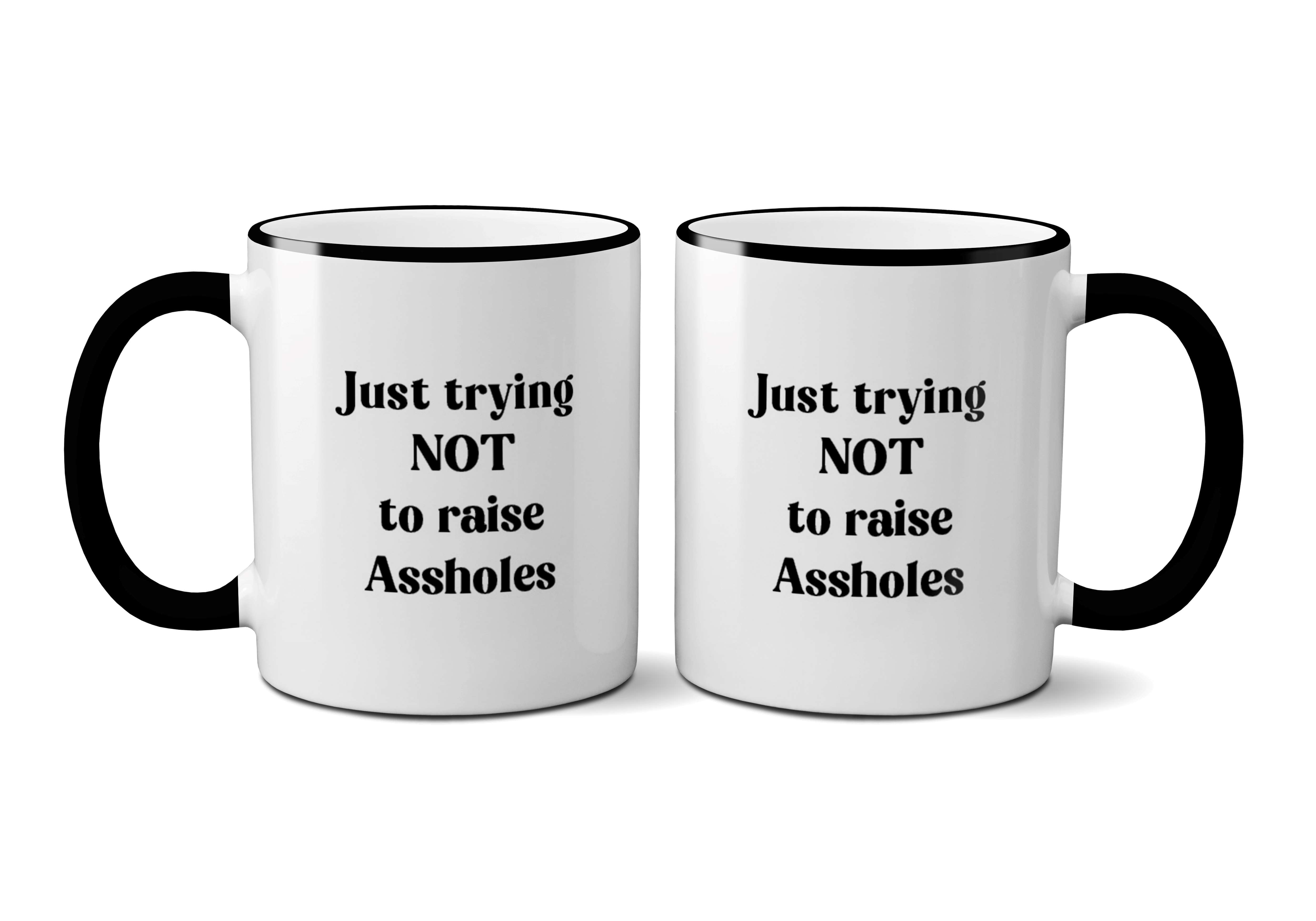 Just Trying Not To Raise Assholes Mug-hotRAGS.com