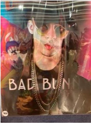 Pic 3D - Bad Bunny -15x11-hotRAGS.com