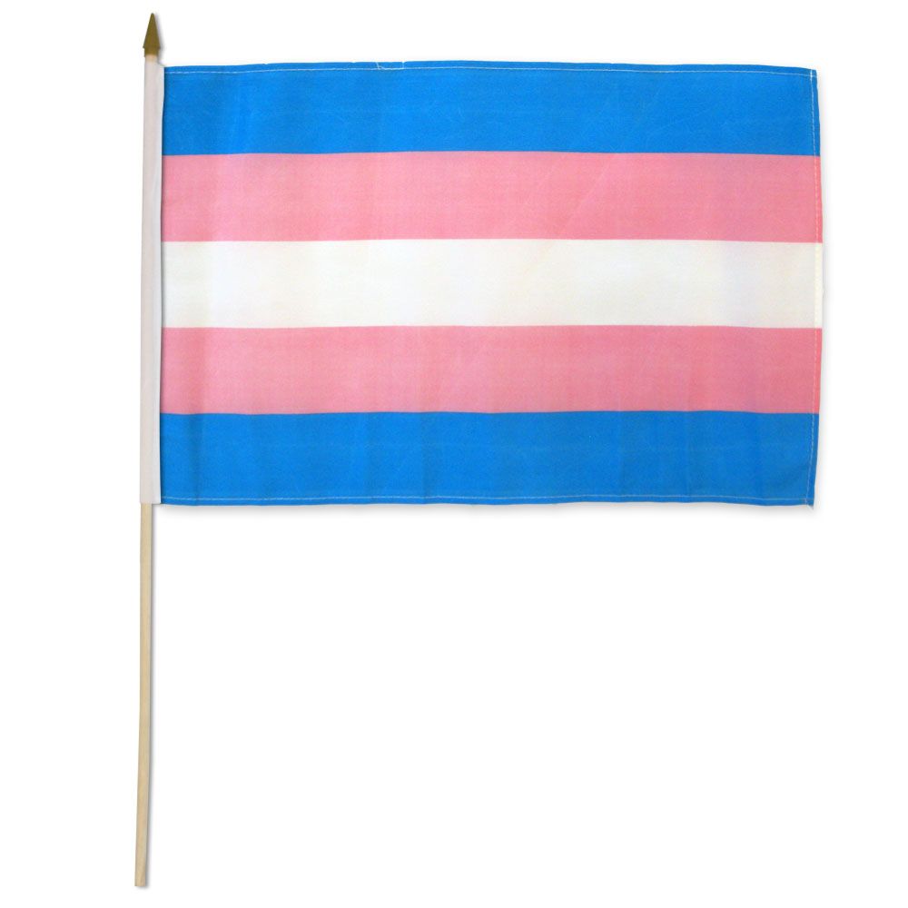 Transgender 12x18in Stick Flag-hotRAGS.com