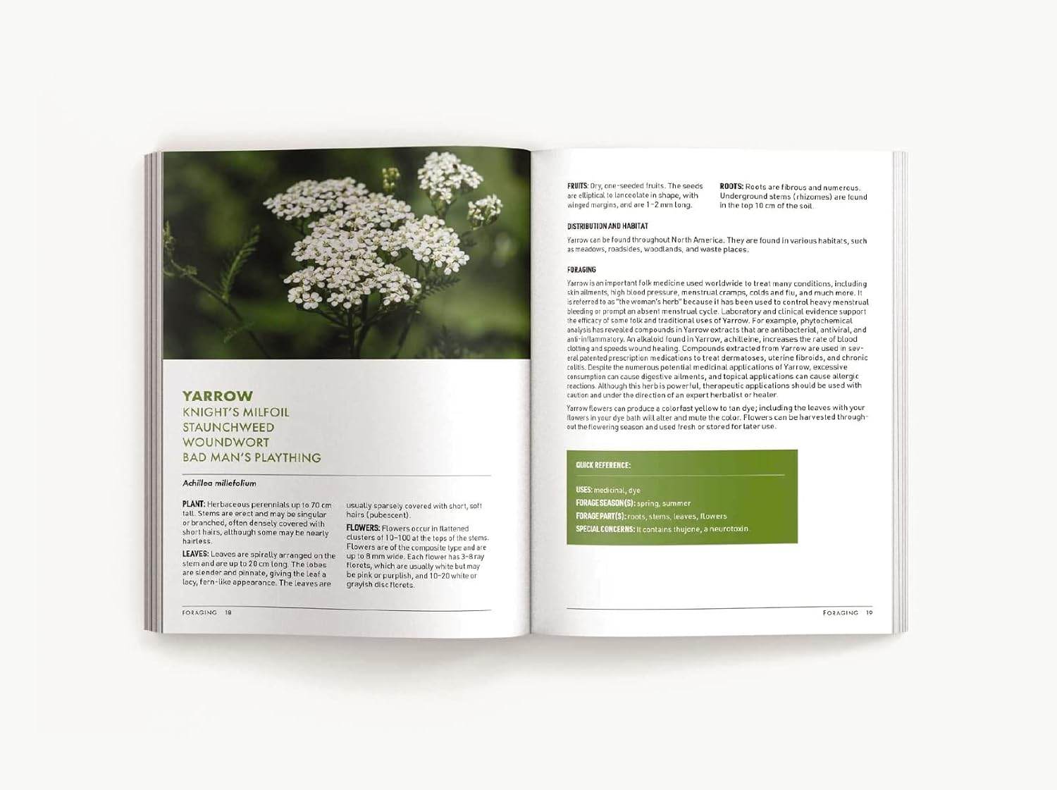 Book - Foraging: An Illustrated Guide to Edible Wild Plants-hotRAGS.com