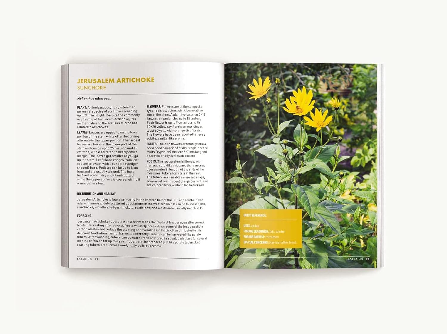 Book - Foraging: An Illustrated Guide to Edible Wild Plants-hotRAGS.com