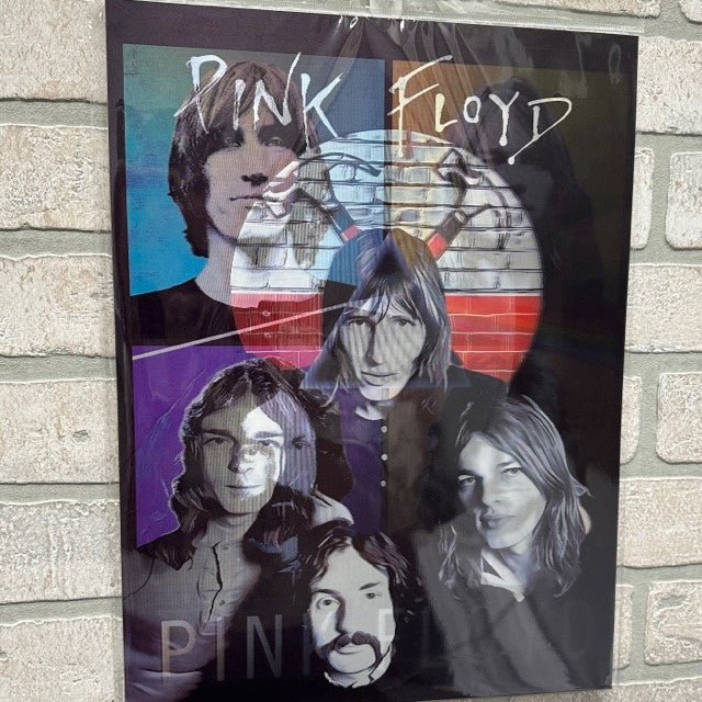 Pic 3D - Pink Floyd - Dark Side of the Moon-hotRAGS.com