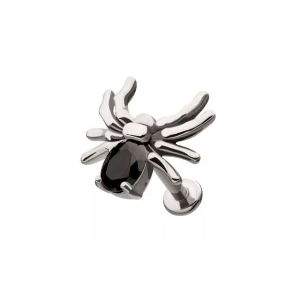 Cartilage - 18g Spider - Black-hotRAGS.com