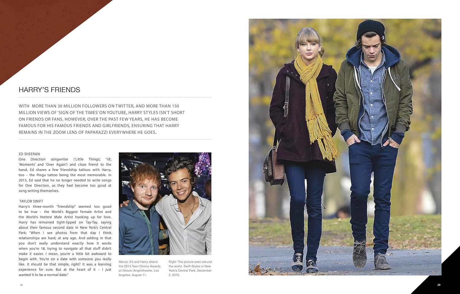 Book - The Life and Music of Harry Styles-hotRAGS.com