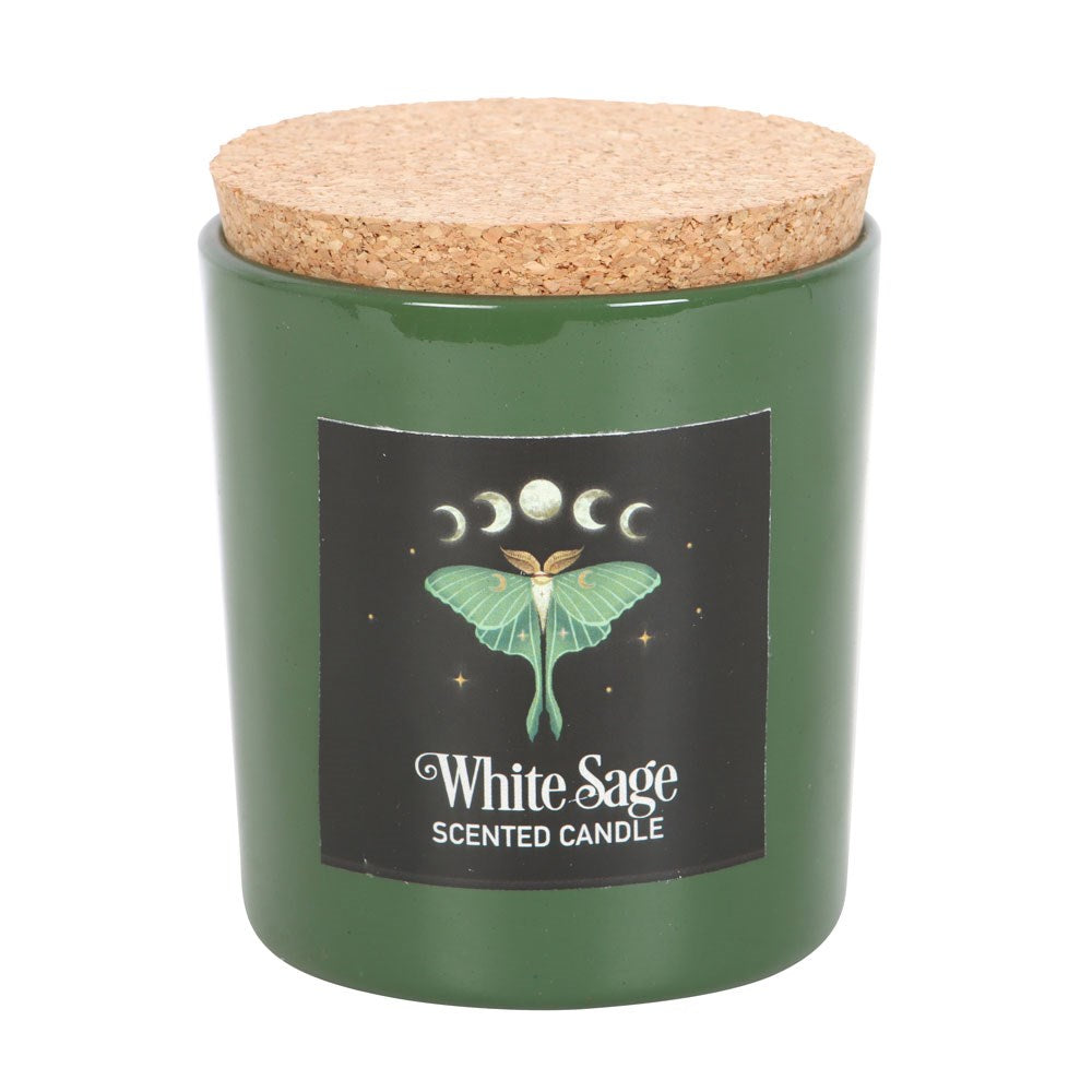 Candle - Dark Forest Luna Moth - White Sage-hotRAGS.com