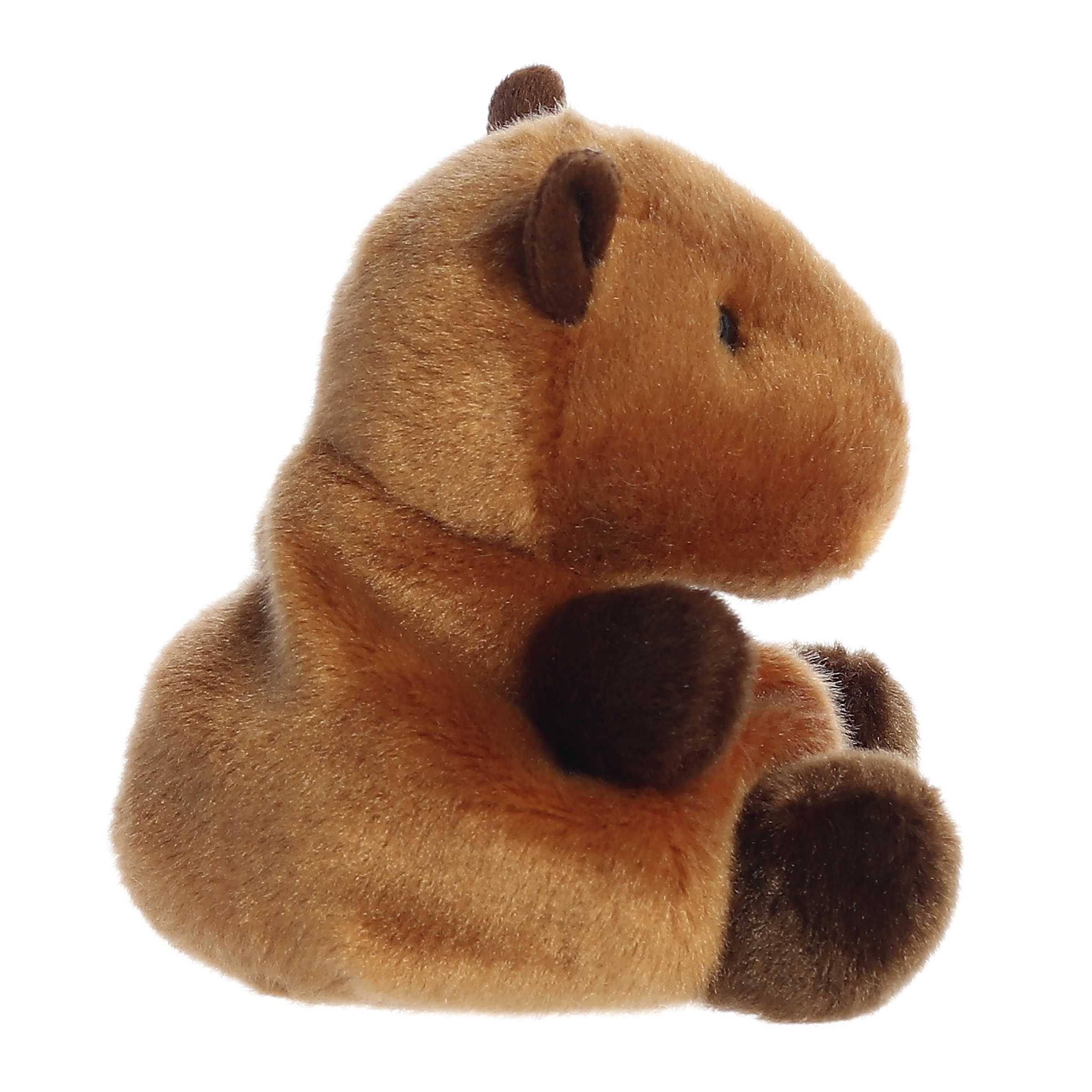 Plush - Sid Capybara - 5 Inch-hotRAGS.com