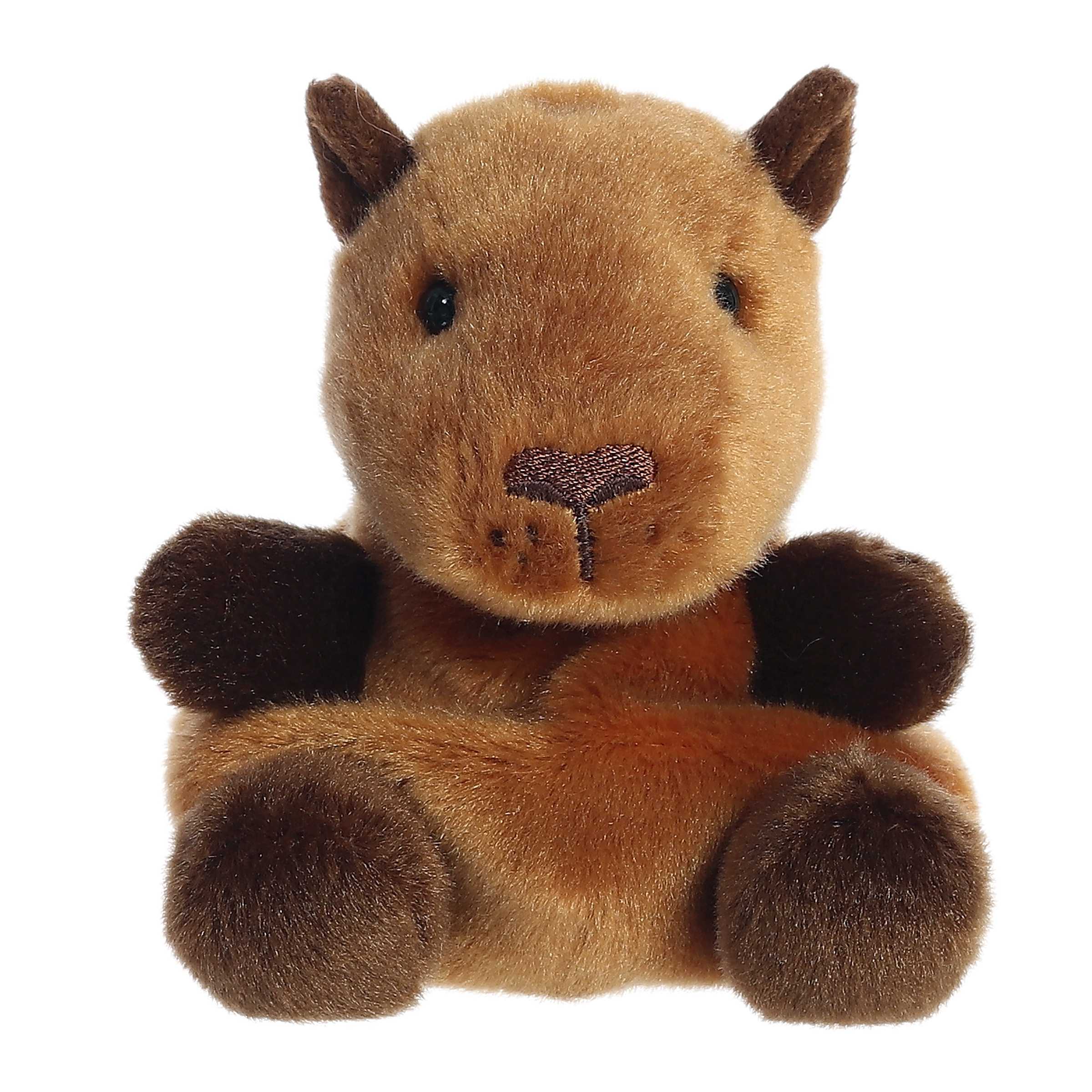Plush - Sid Capybara - 5 Inch-hotRAGS.com