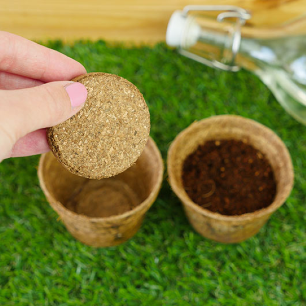 Plants - GROW IT CARNIVOROUS PLANTS-hotRAGS.com