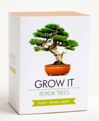Plants - GROW IT BONSAI TREE-hotRAGS.com