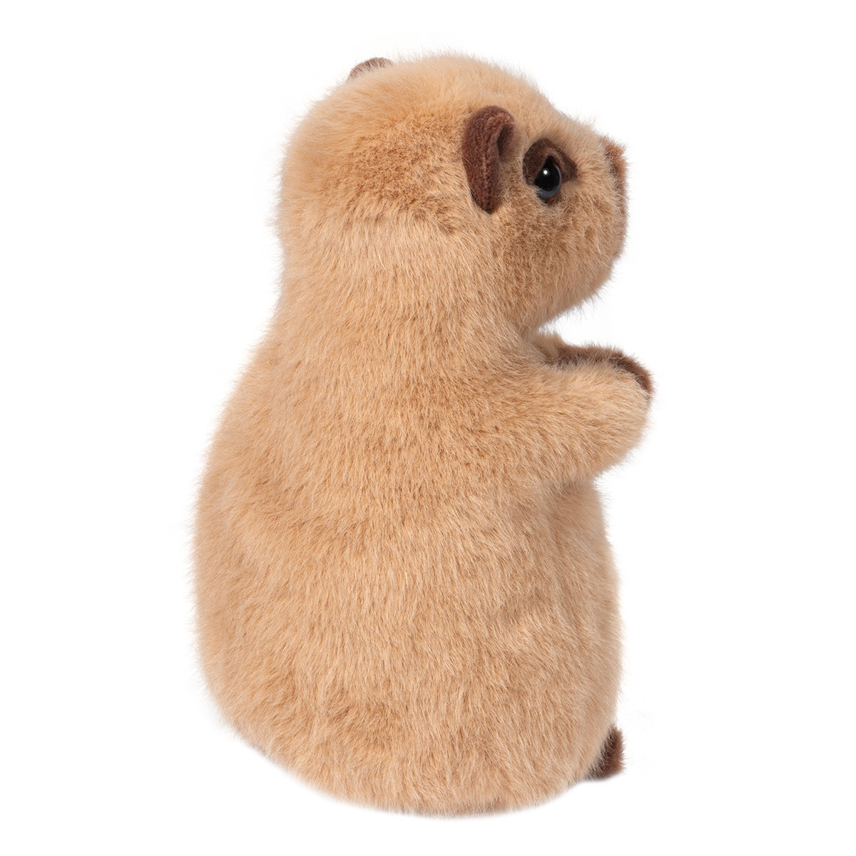 Plush - Mini Chattie Capybara-hotRAGS.com