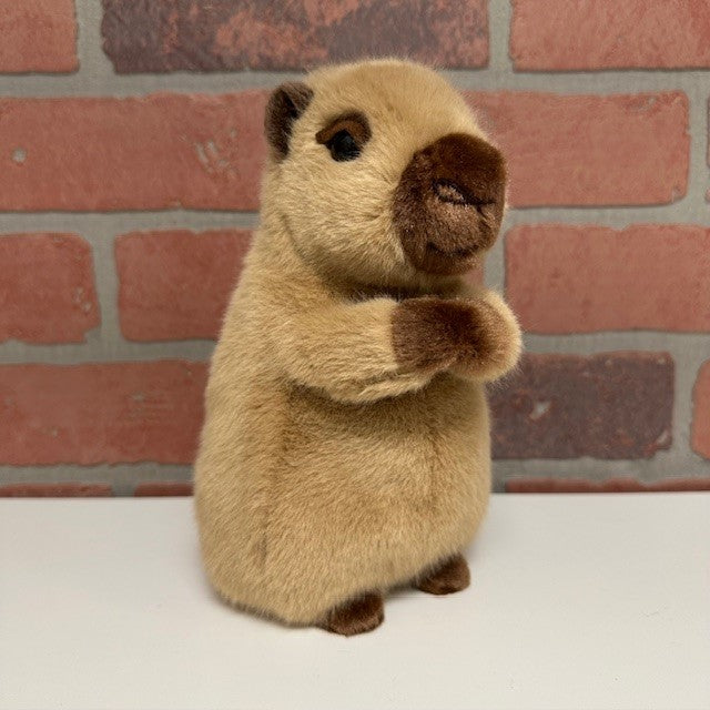 Plush - Mini Chattie Capybara-hotRAGS.com