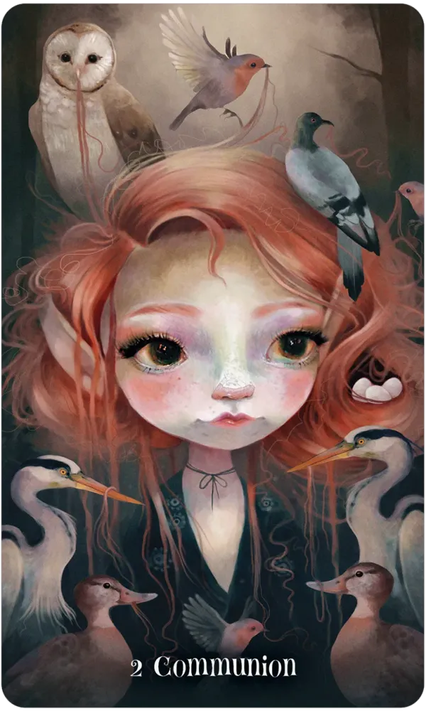 Tarot Cards - Wild Things Oracle-hotRAGS.com