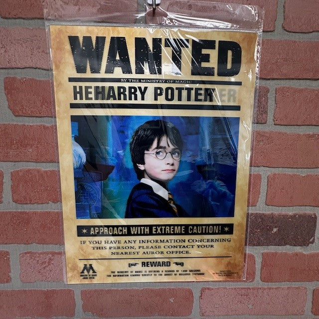 Picture - 3D HARRY POTTER-hotRAGS.com