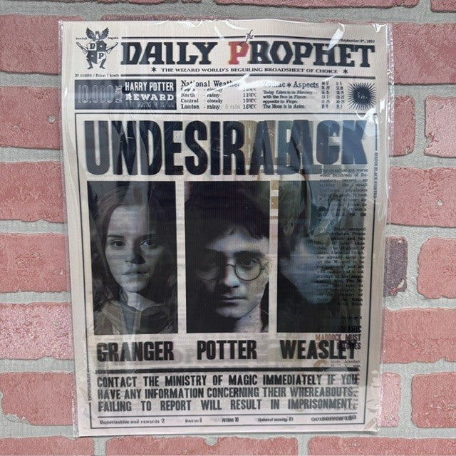 Picture - 3D Harry Potter Trio
