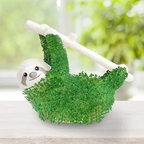 PLANTER - SLOTH WITH SEEDS-hotRAGS.com