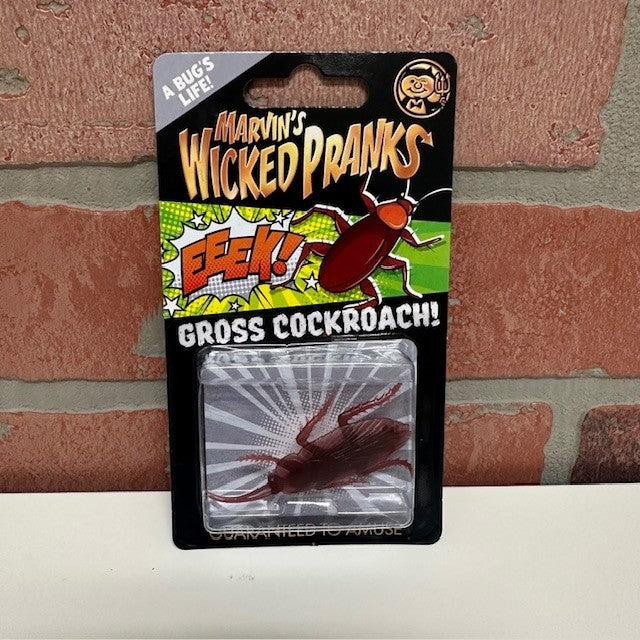 Toy - Prank Cockroach Surprise - hotRAGS.com