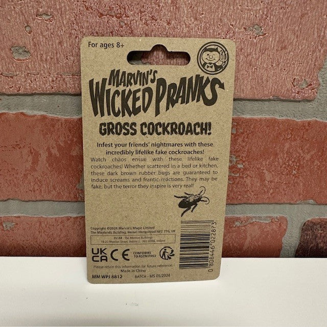 Toy - Prank Cockroach Surprise - hotRAGS.com