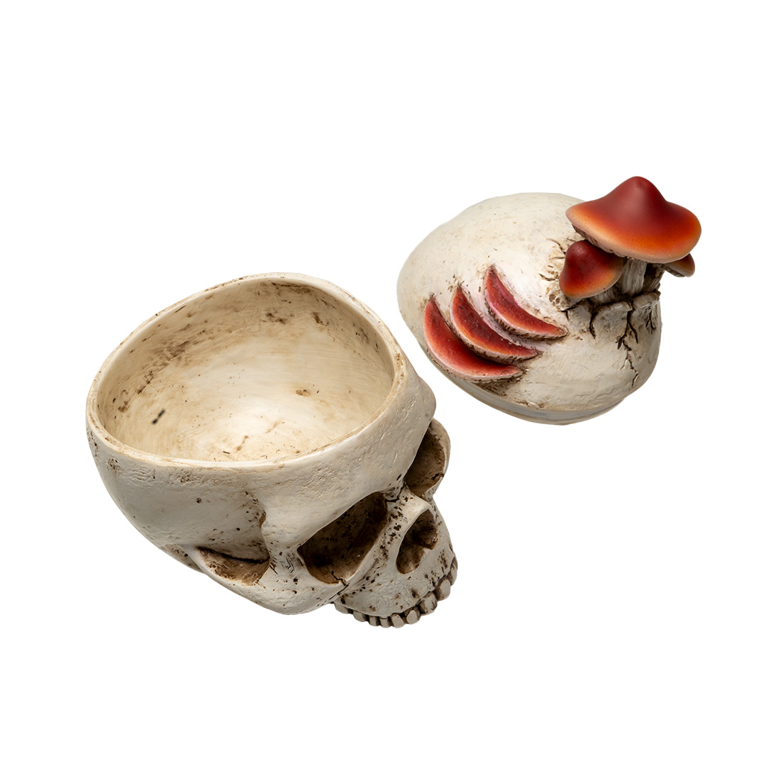 Box - Mushroom Skull - hotRAGS.com