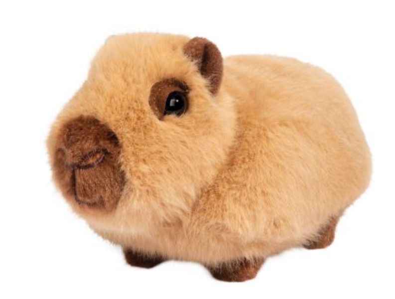 Plush - Capybara Chattie Mini - hotRAGS.com