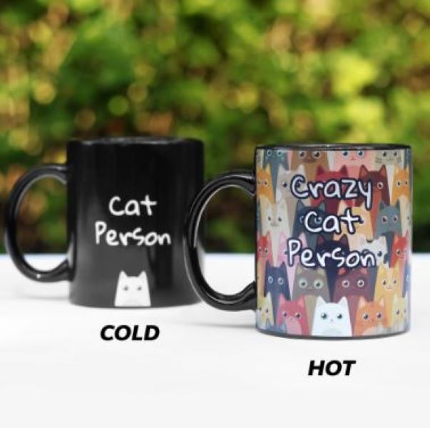 Mug - Crazy Cat Person - Color Changing - hotRAGS.com