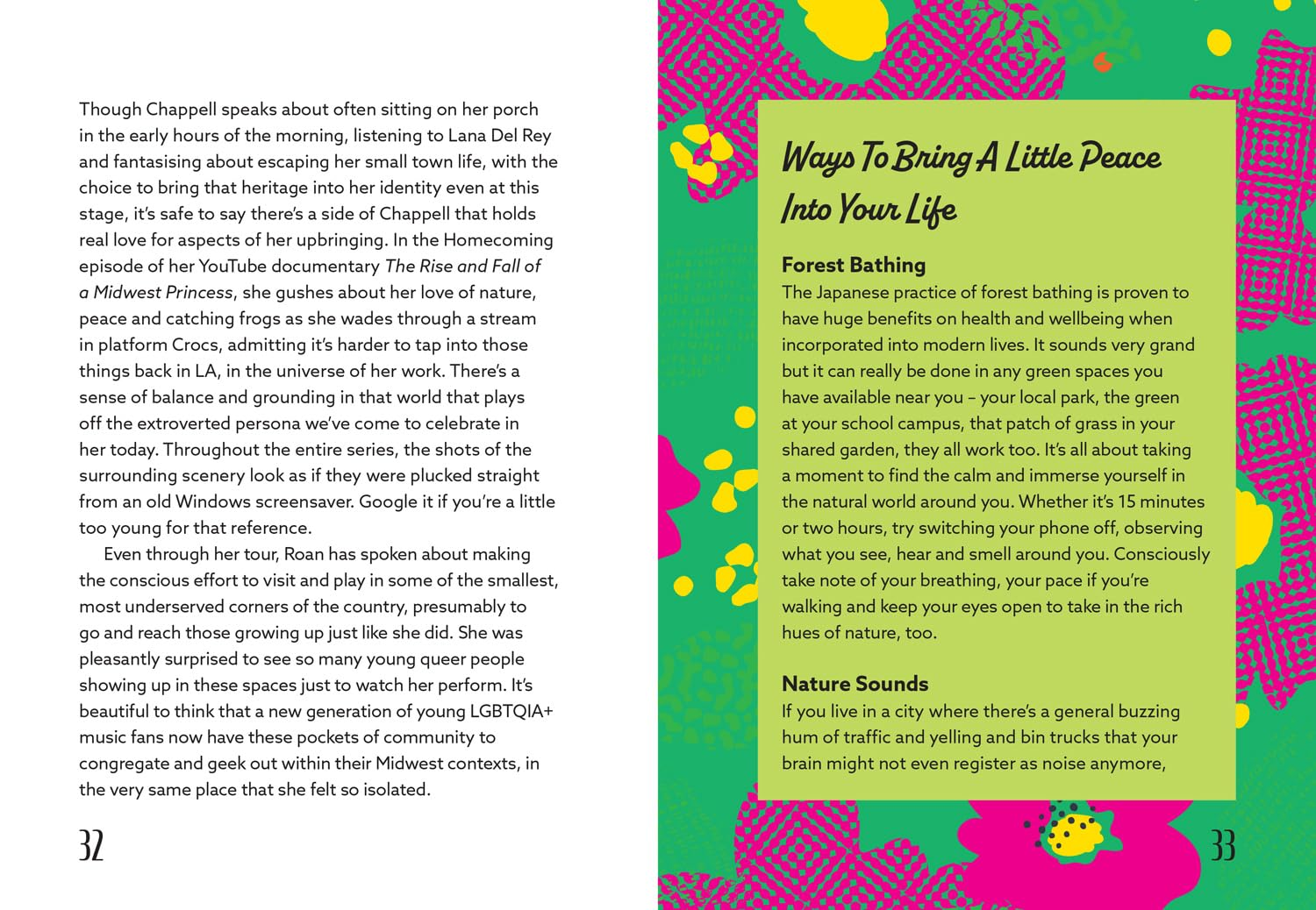 Book - Chappell Roan The Ultimate Unofficial Midwest Princess Fan Book - hotRAGS.com