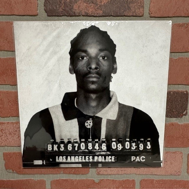 Poster - Snoop Dog 12x12 - hotRAGS.com