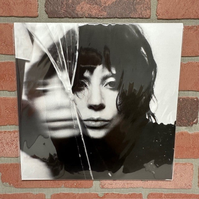 Poster - Lady Gaga 12x12 - hotRAGS.com