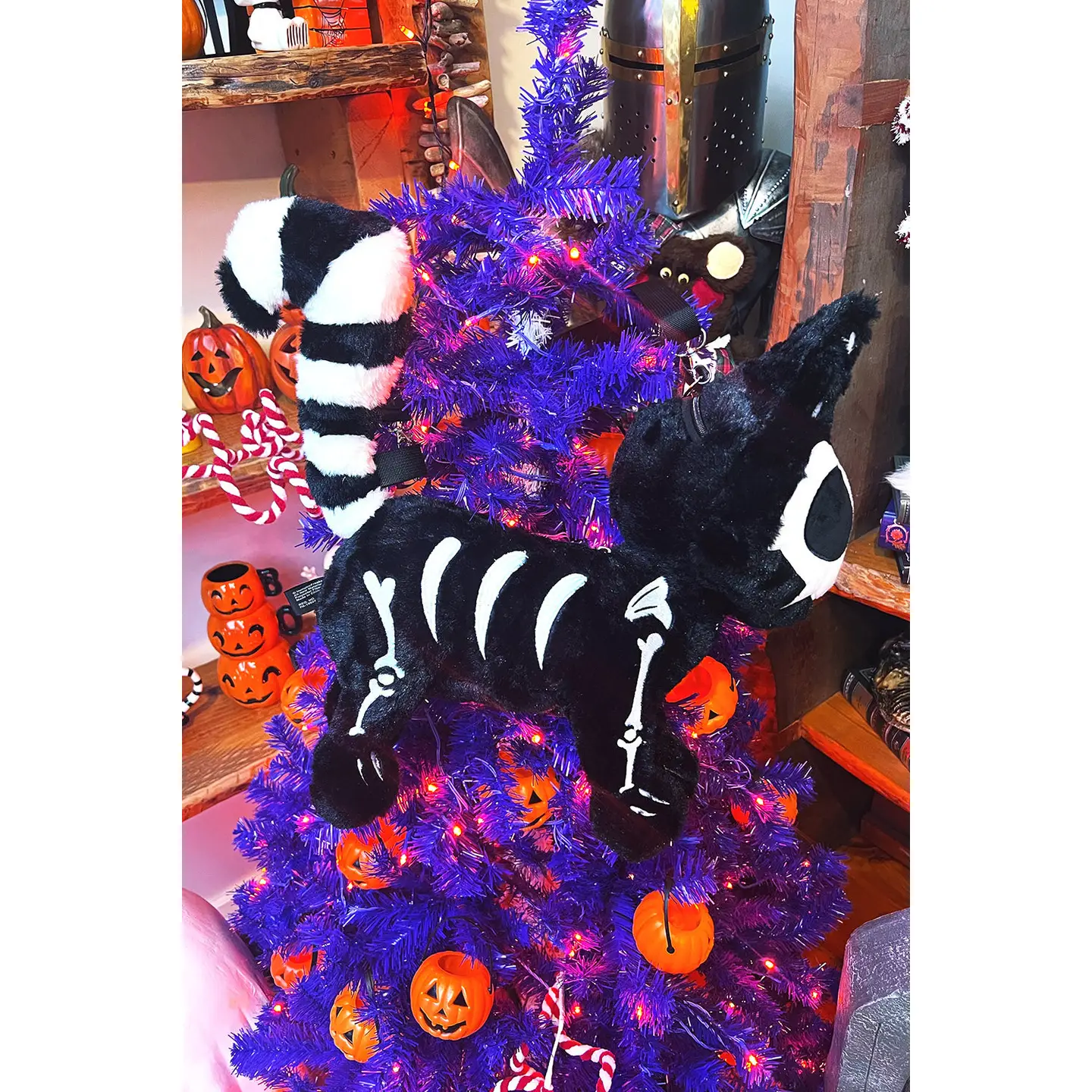 Bag - Skelekitty - hotRAGS.com