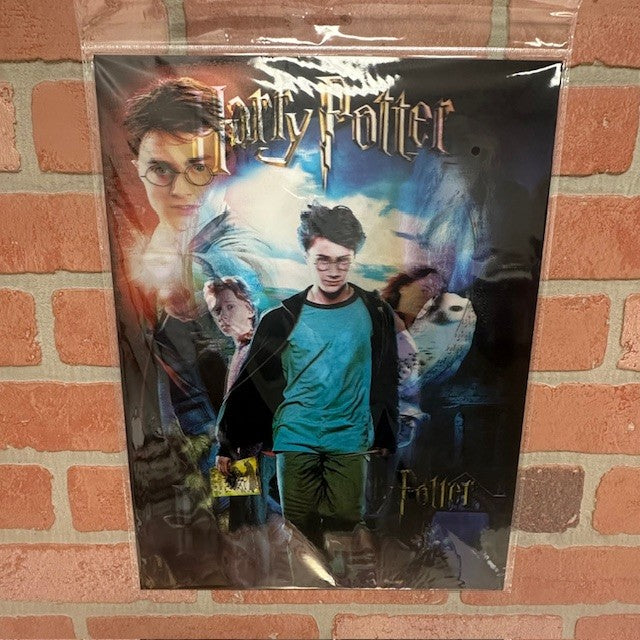 Pic - 3D Harry Potter Cast - hotRAGS.com