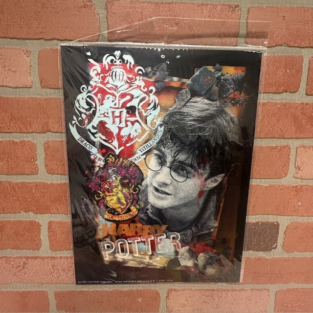 Pic - 3D Harry Potter Harry - hotRAGS.com