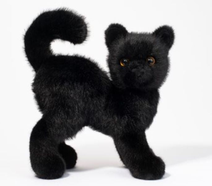 Plush - Black Cat Scaredy - hotRAGS.com