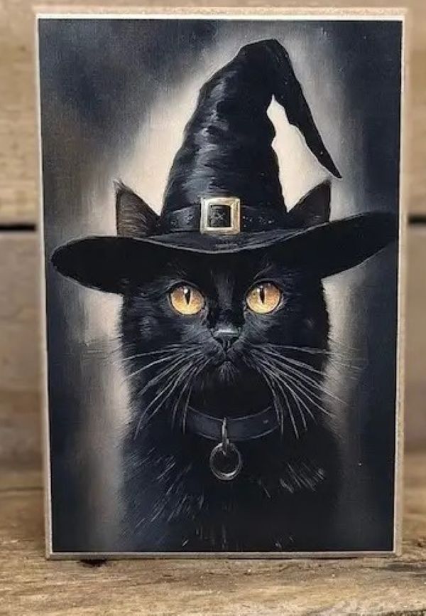 Wall Art - Cat Witch Hat - 4x6x1 - hotRAGS.com