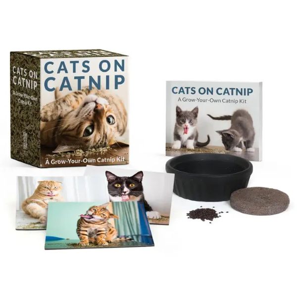 Mini Cats On Catnip - hotRAGS.com