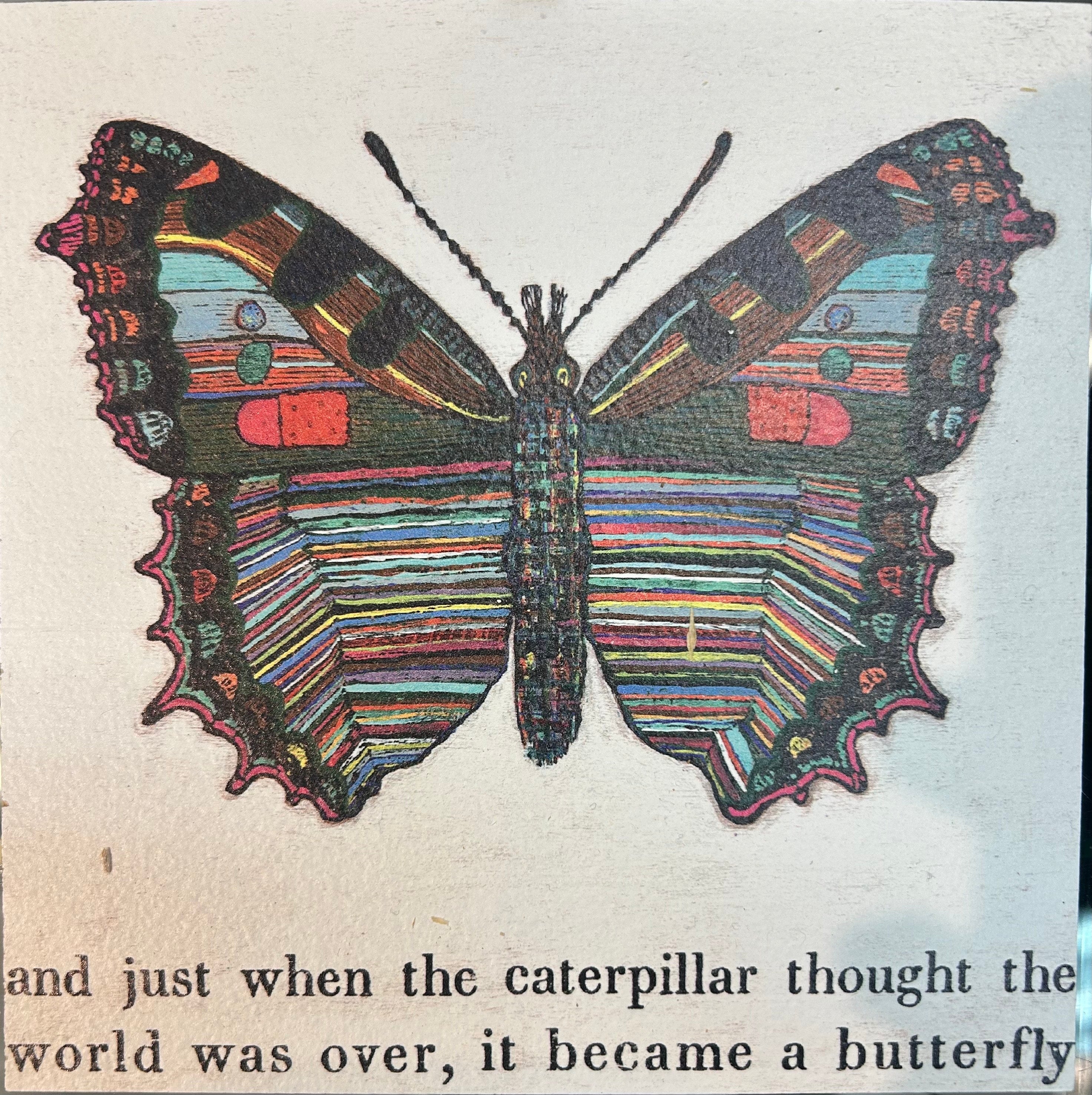 Wall Art - Butterfly - 6X6 - hotRAGS.com