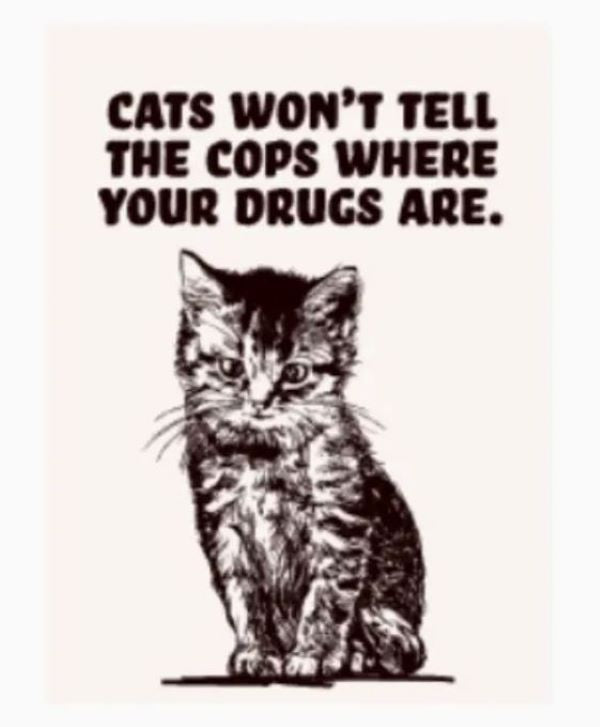 Magnet - Cats Won' t Tell the Cops Where Your Drugs Are - hotRAGS.com