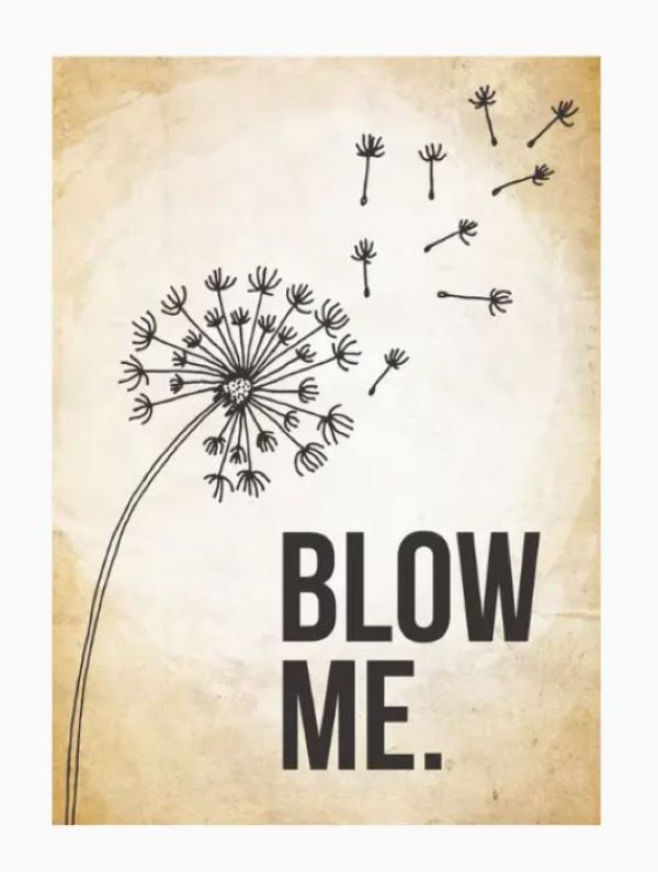 Magnet - Blow Me - Dandelion - hotRAGS.com