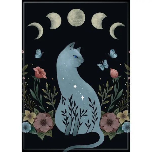 MAGNET - EPISODIC CAT ON HILL