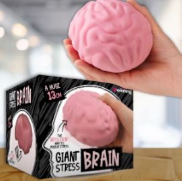 TOY - SQUISHY BRAIN