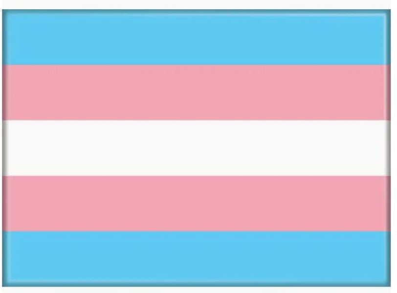 MAGNET - TRANSGENDER FLAG