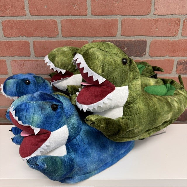 SLIPPERS - DINOSAURS Assorted Colors