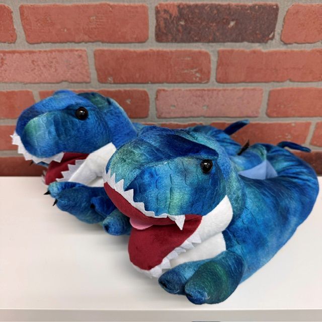 SLIPPERS - DINOSAURS Assorted Colors