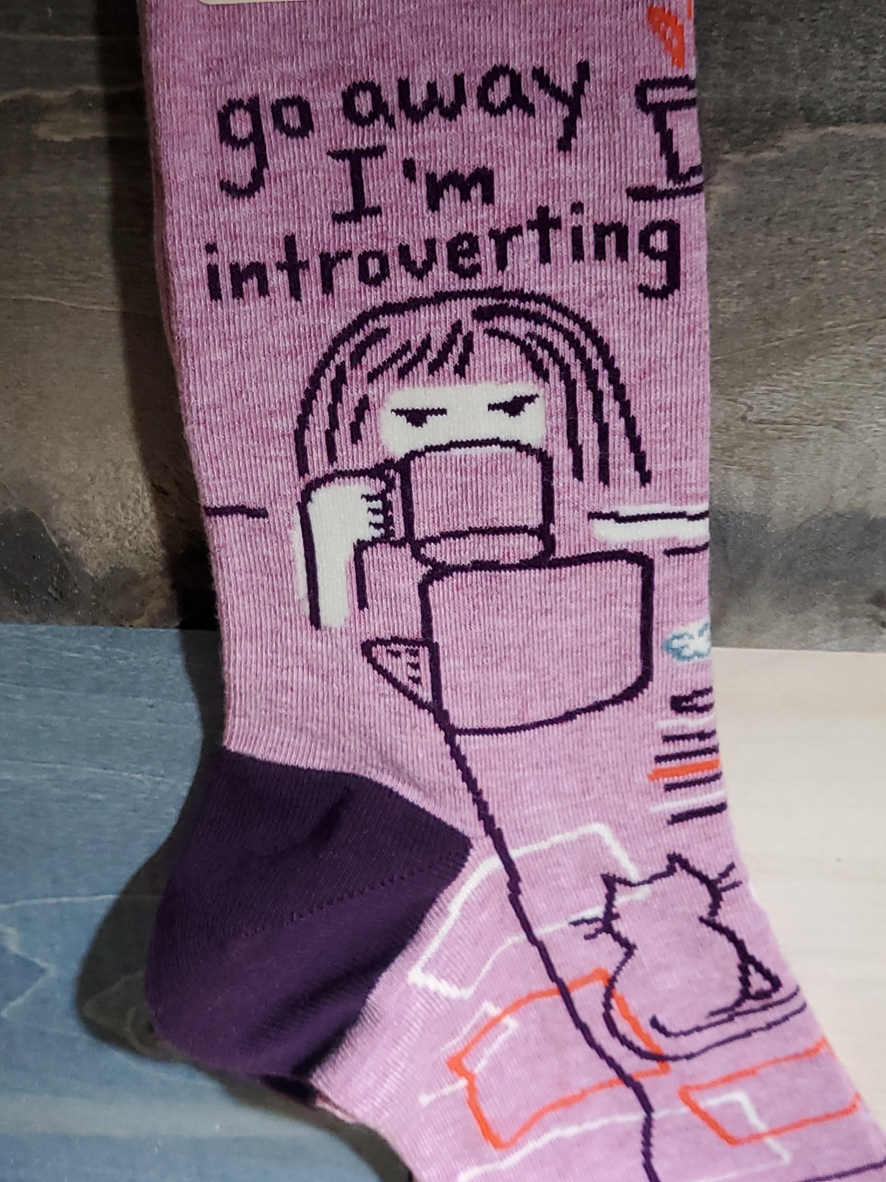 Socks - Go Away I'm Introverting-hotRAGS.com