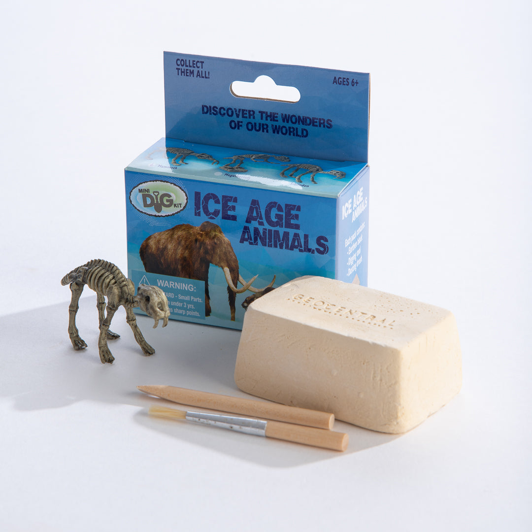 Mini Excavation Kit: Ice Age Animals-hotRAGS.com