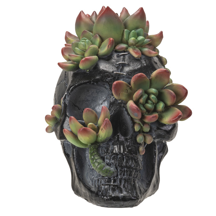Skull With Succulents-hotRAGS.com