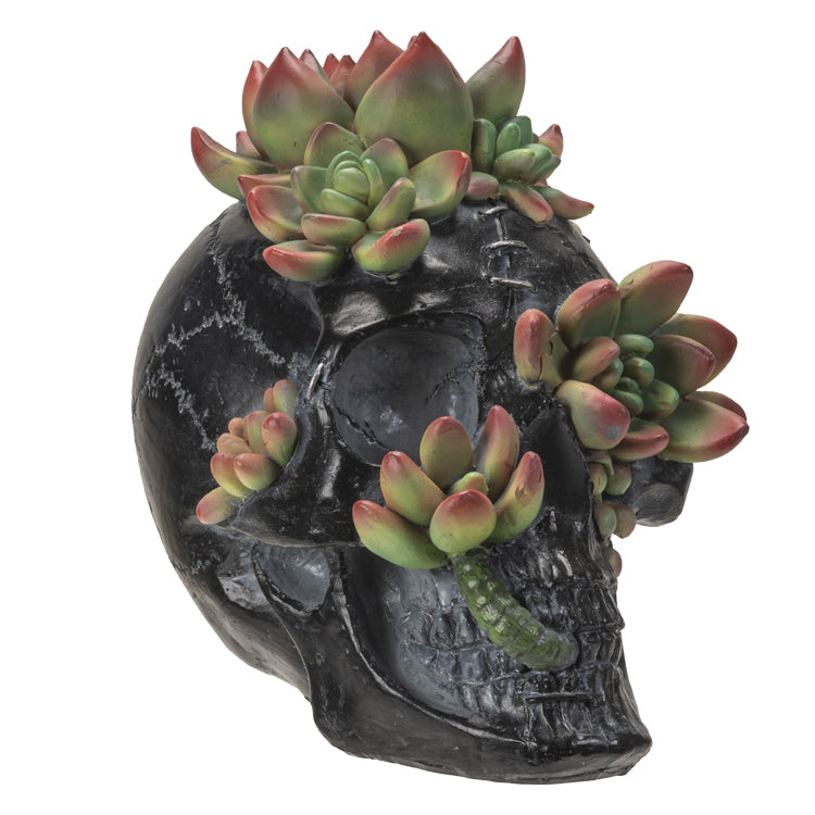 Skull With Succulents-hotRAGS.com