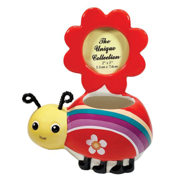 Lovebug Planter & Frames - Floral Rainbow-hotRAGS.com