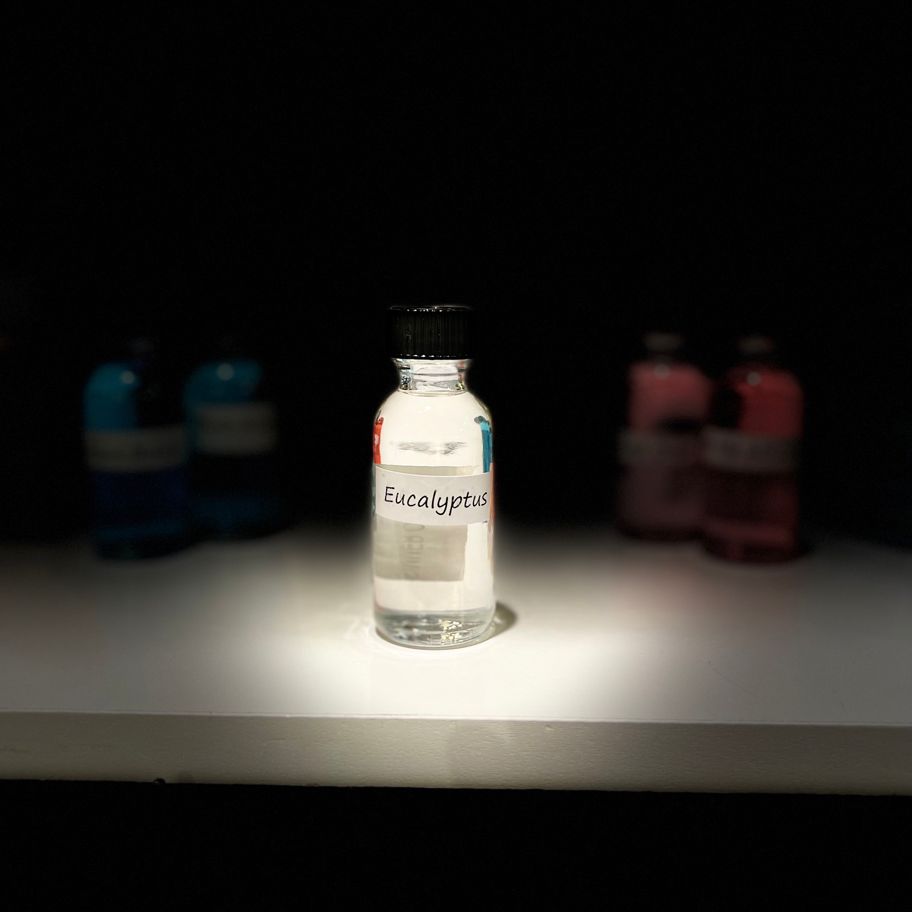 Simmer Oil - Eucalyptus-hotRAGS.com