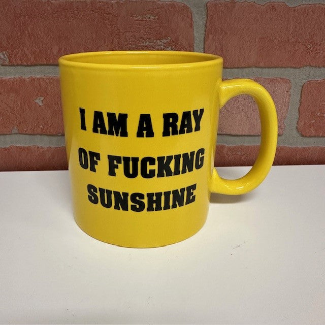 Mug - I'm A Fucking Ray Of Sunshine-hotRAGS.com